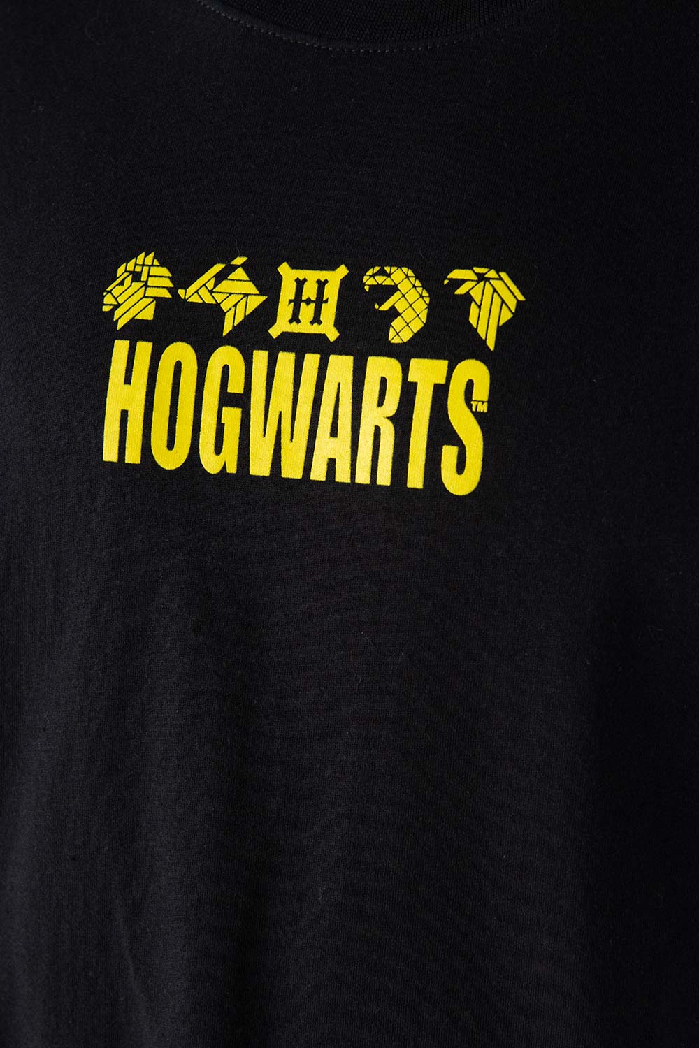 CAMISETA DE HARRY POTTER NEGRA MANGA CORTA PARA HOMBRE