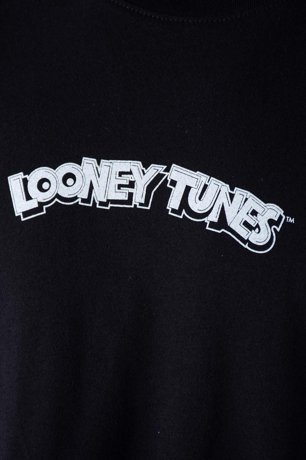 CAMISETA DE LOS LOONEY TUNES REGULAR FIT GÉNERO NEUTRO