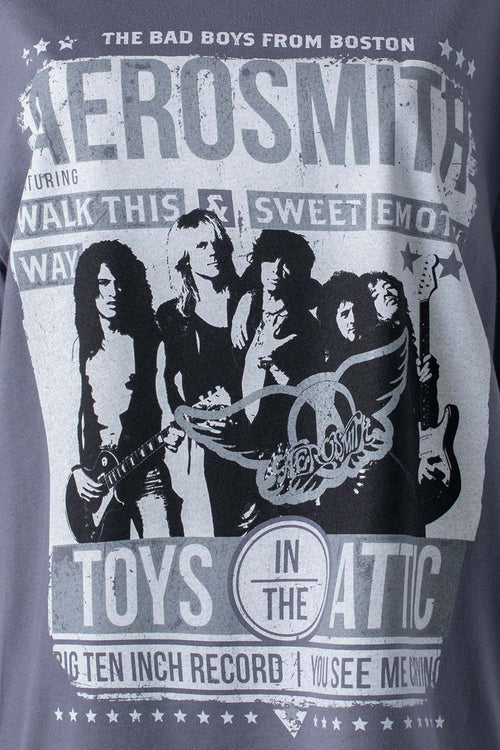 CAMISETA ADULTO AEROSMITH