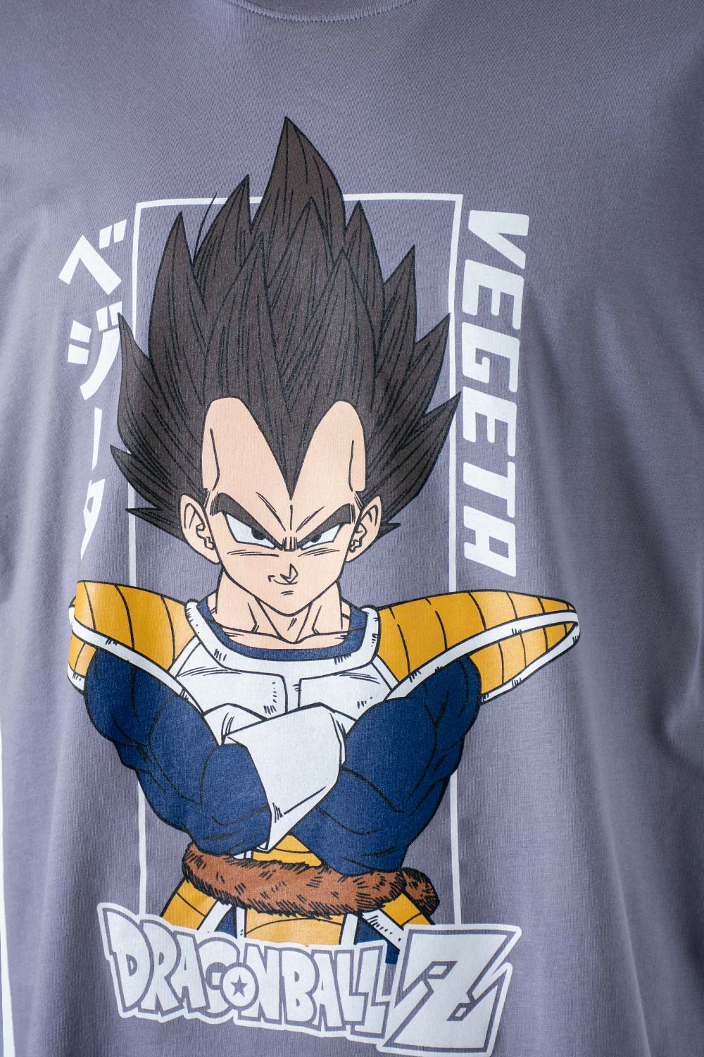 CAMISETA DE DRAGON BALL Z REGULAR FIT PARA HOMBRE