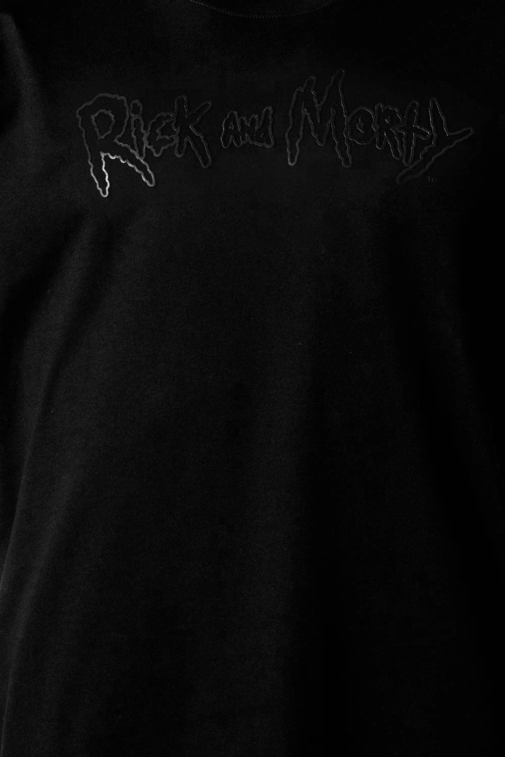 CAMISETA HOMBRE EXTERIOR RICK & MORTY: A