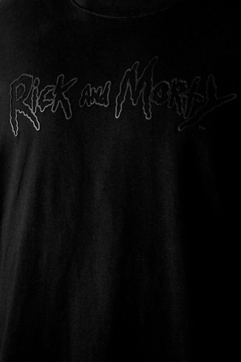 CAMISETA HOMBRE EXTERIOR RICK & MORTY: A