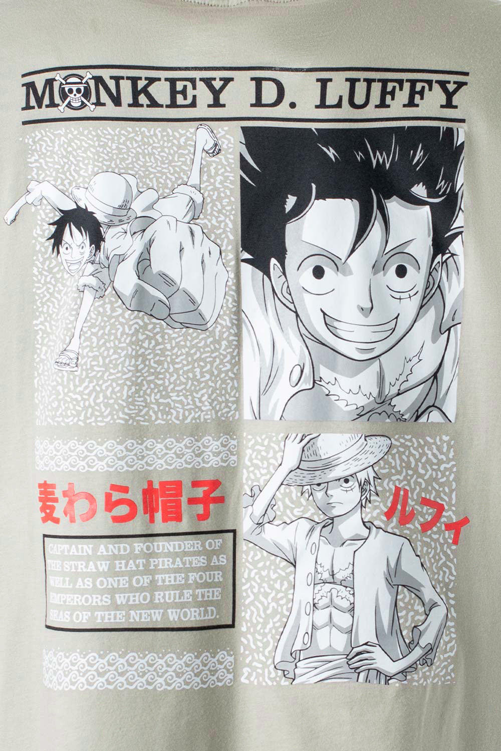 CAMISETA DE ONE PIECE REGULAR FIT PARA HOMBRE