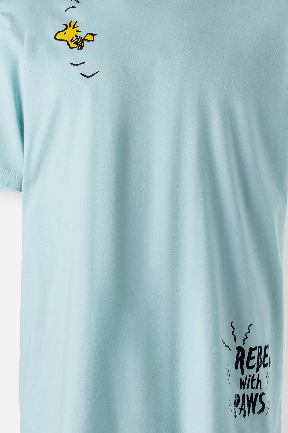 CAMISETA UNISEX EXTERIOR SNOOPY TESTEO
