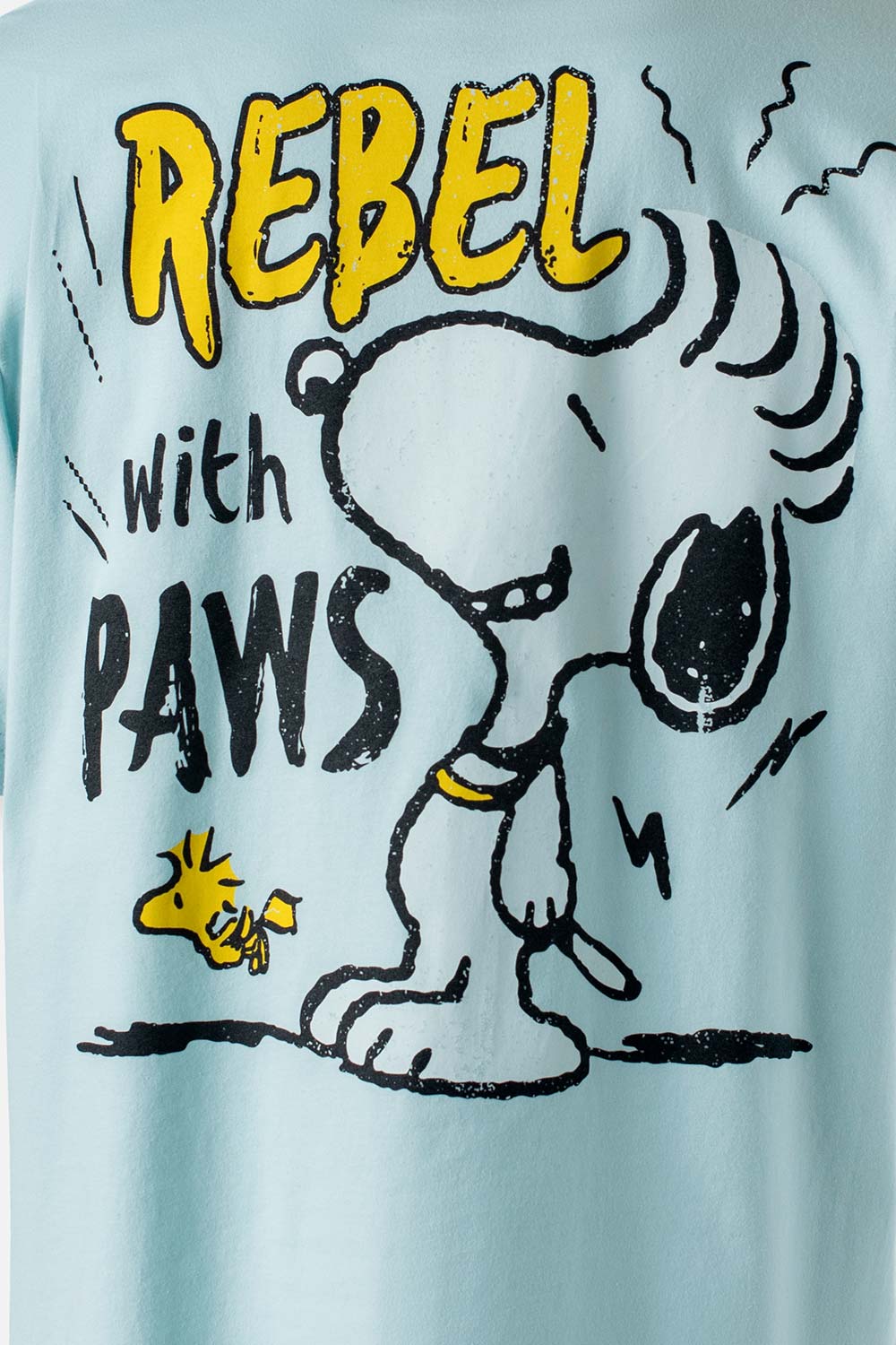 CAMISETA UNISEX EXTERIOR SNOOPY TESTEO