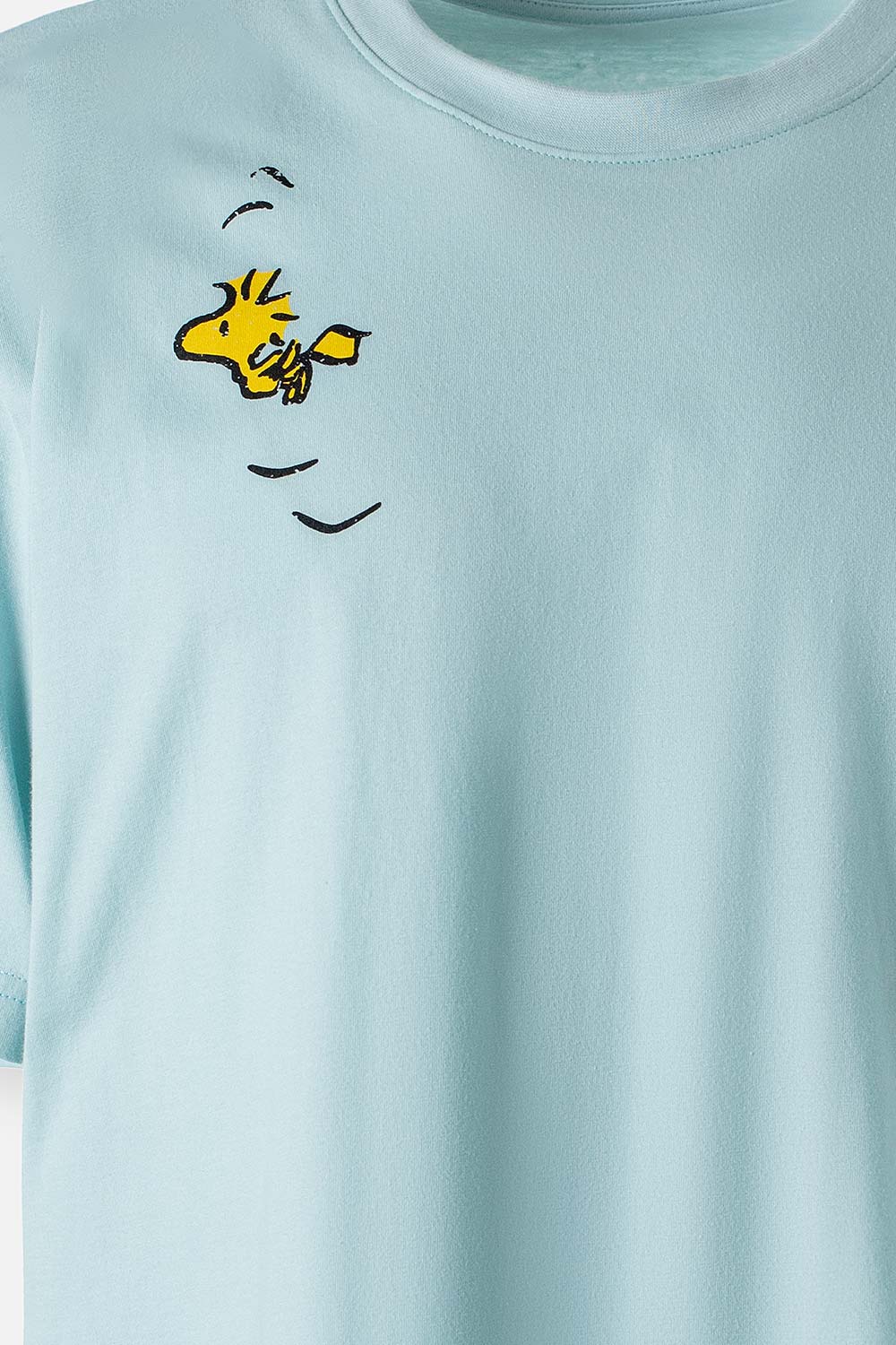 CAMISETA UNISEX EXTERIOR SNOOPY TESTEO