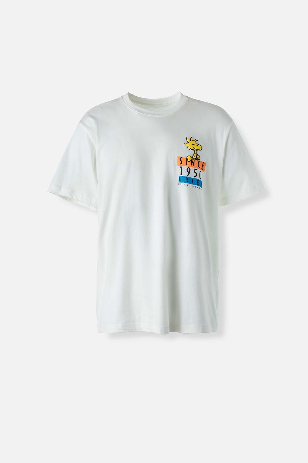 CAMISETA UNISEX  EXTERIOR SNOOPY TESTEO