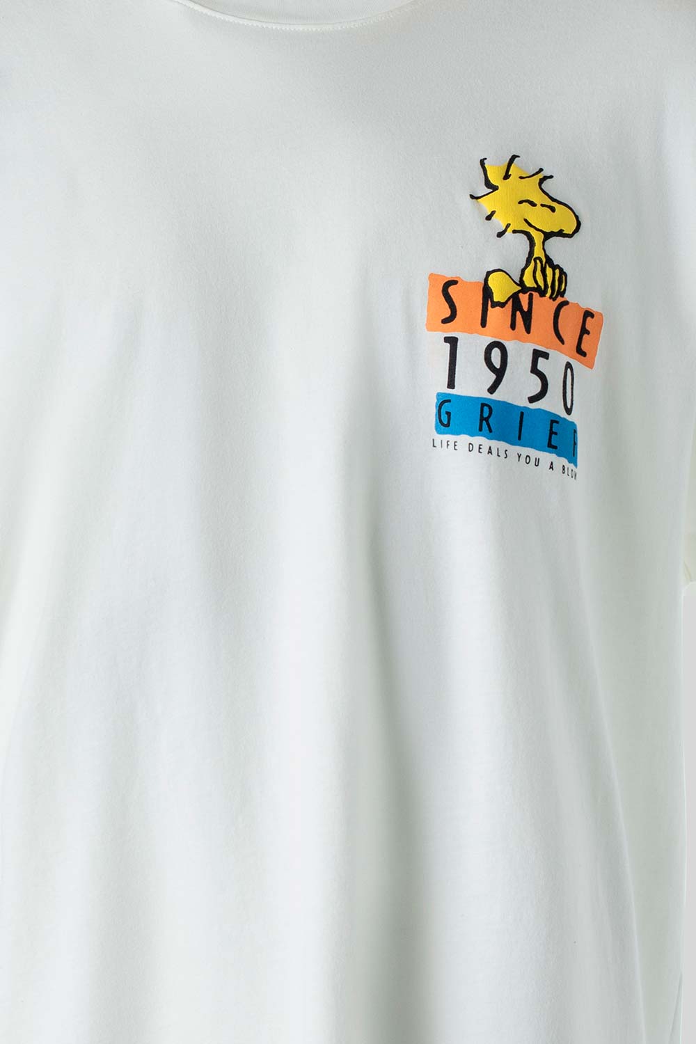 CAMISETA UNISEX  EXTERIOR SNOOPY TESTEO