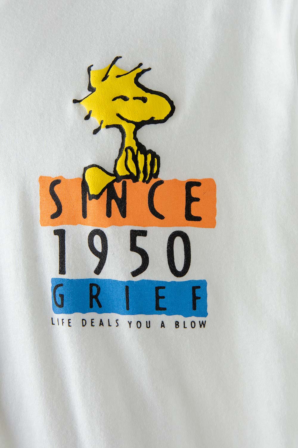 CAMISETA UNISEX  EXTERIOR SNOOPY TESTEO