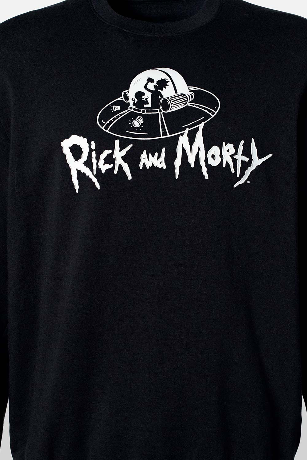 BUZO HOMBRE EXTERIOR RICK & MORTY: ANIMA