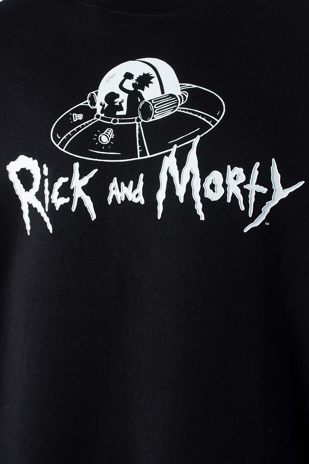 BUZO HOMBRE EXTERIOR RICK & MORTY: ANIMA