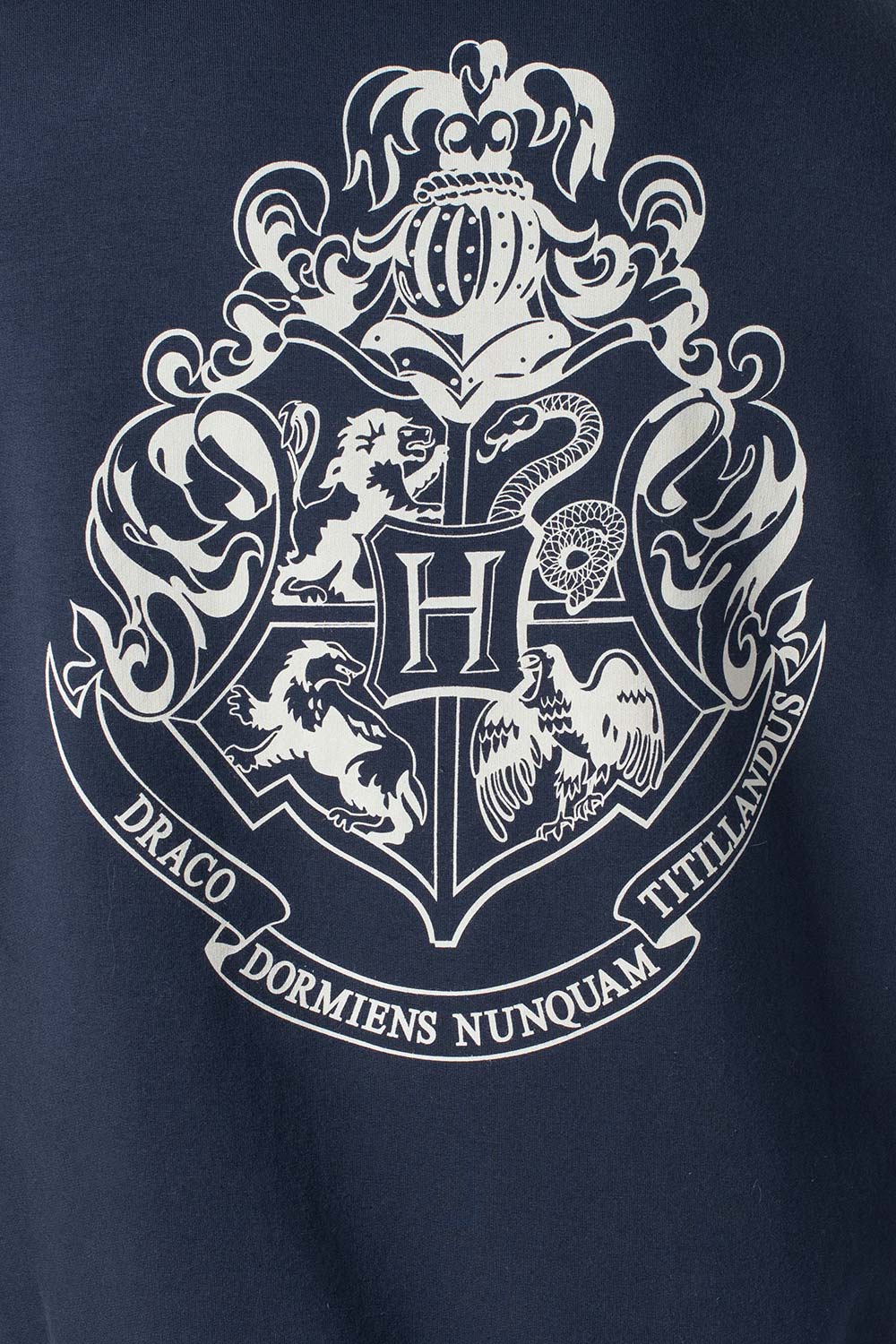 BUZO DE HARRY POTTER CERRADO CON CAPUCHA PARA HOMBRE