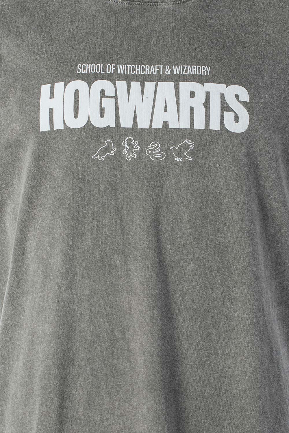 CAMISETA DE HARRY POTTER GRIS REGULAR FIT PARA HOMBRE