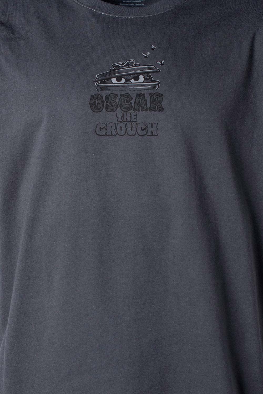 CAMISETA DE PLAZA SESAMO RELAX FIT PARA HOMBRE